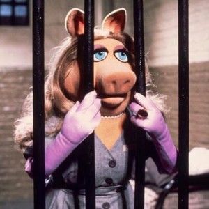 Meet your Posher, Dana